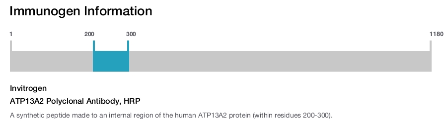 ATP13A2 Polyclonal Antibody, HRP