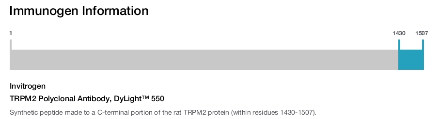 TRPM2 Polyclonal Antibody, DyLight™ 550