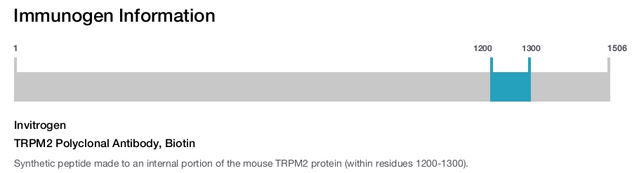 TRPM2 Polyclonal Antibody, Biotin