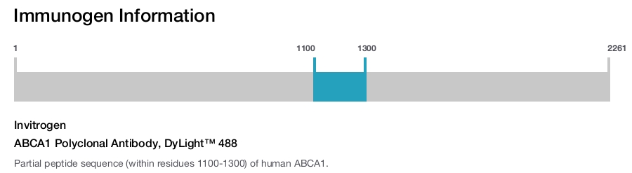 ABCA1 Polyclonal Antibody, DyLight™ 488
