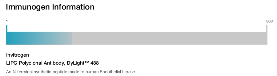 LIPG Polyclonal Antibody, DyLight™ 488
