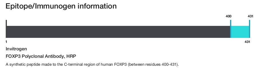 FOXP3 Polyclonal Antibody, HRP