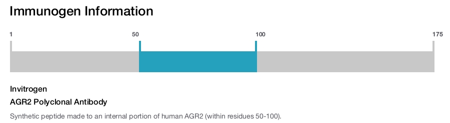 AGR2 Polyclonal Antibody