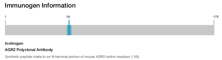AGR2 Polyclonal Antibody