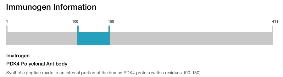 PDK4 Polyclonal Antibody