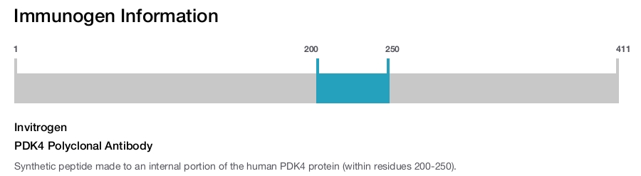 PDK4 Polyclonal Antibody