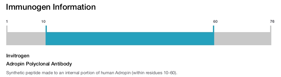 Adropin Polyclonal Antibody