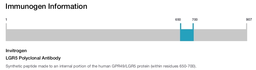 LGR5 Polyclonal Antibody