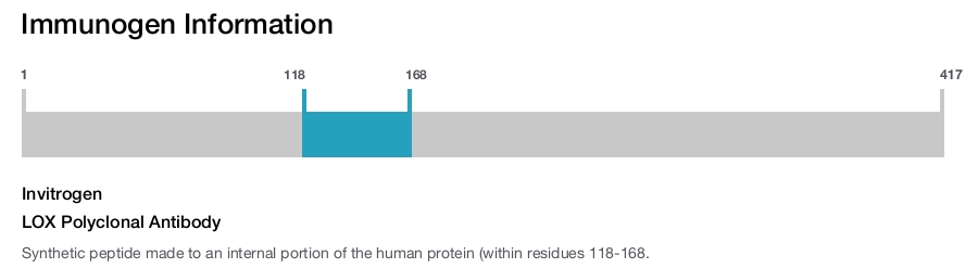 LOX Polyclonal Antibody