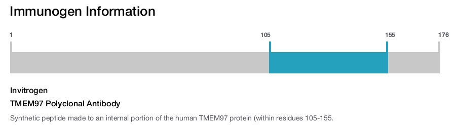 TMEM97 Polyclonal Antibody