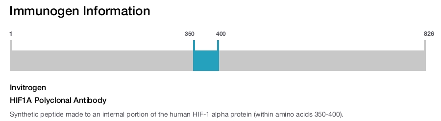 HIF1A Polyclonal Antibody
