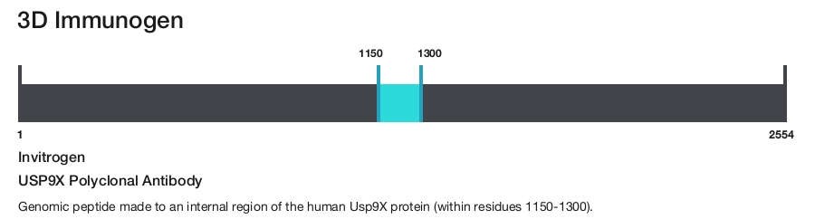USP9X Polyclonal Antibody