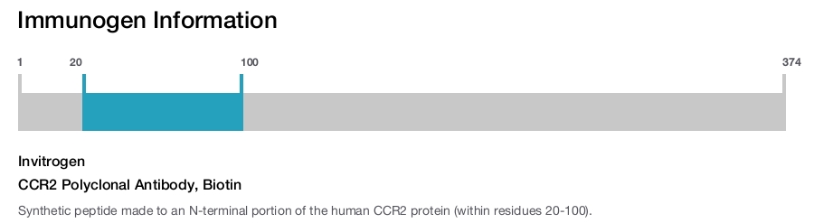 CCR2 Polyclonal Antibody, Biotin