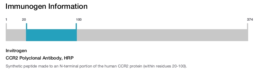 CCR2 Polyclonal Antibody, HRP