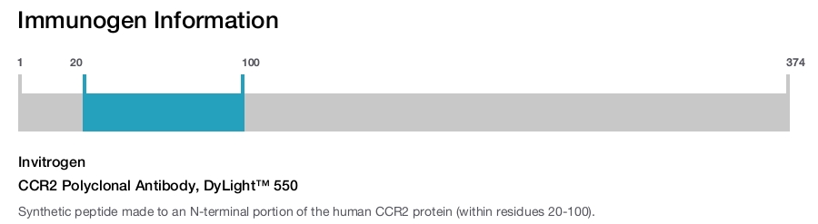 CCR2 Polyclonal Antibody, DyLight™ 550