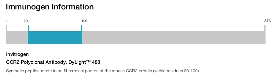 CCR2 Polyclonal Antibody, DyLight™ 488