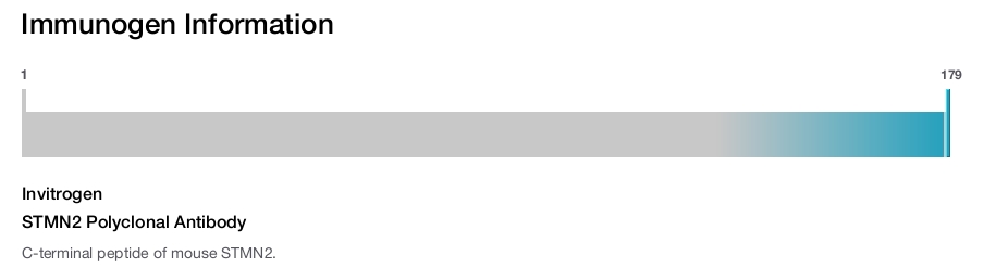 STMN2 Polyclonal Antibody