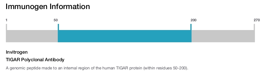 TIGAR Polyclonal Antibody