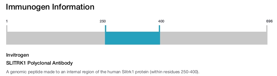 SLITRK1 Polyclonal Antibody