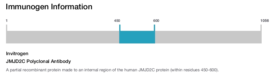 JMJD2C Polyclonal Antibody