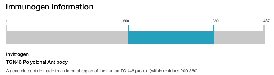 TGN46 Polyclonal Antibody