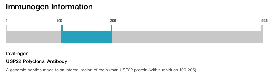 USP22 Polyclonal Antibody