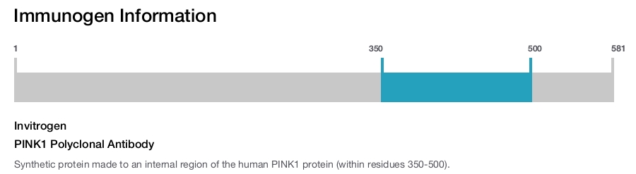PINK1 Polyclonal Antibody