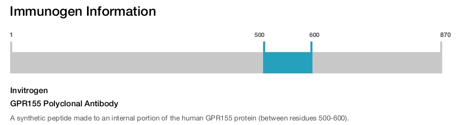 GPR155 Polyclonal Antibody