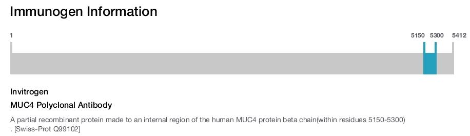 MUC4 Polyclonal Antibody