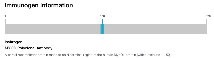 MYOD Polyclonal Antibody