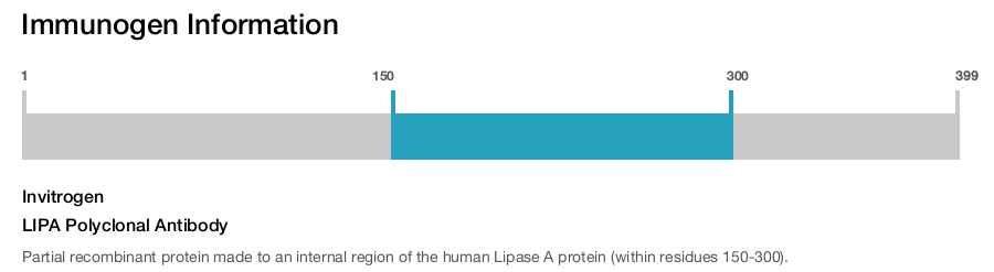 LIPA Polyclonal Antibody