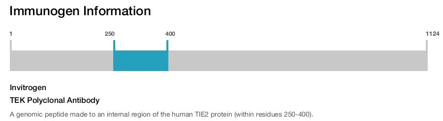 TEK Polyclonal Antibody
