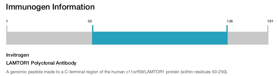 LAMTOR1 Polyclonal Antibody