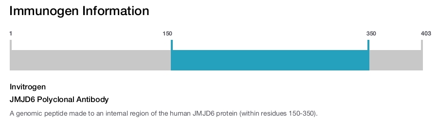 JMJD6 Polyclonal Antibody