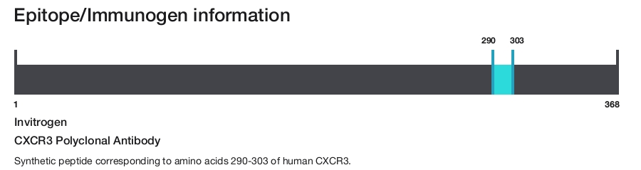 CXCR3 Polyclonal Antibody