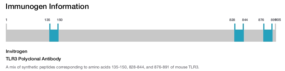TLR3 Polyclonal Antibody