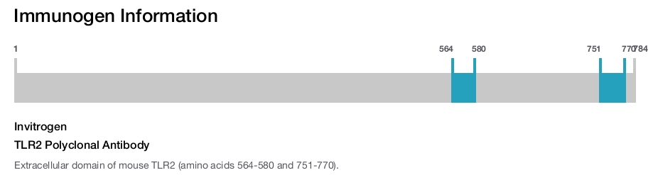 TLR2 Polyclonal Antibody
