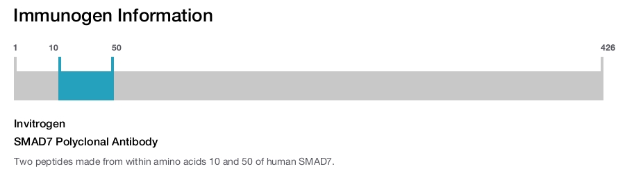 SMAD7 Polyclonal Antibody