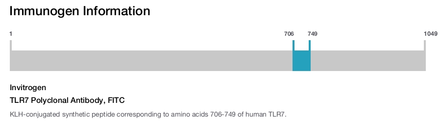 TLR7 Polyclonal Antibody, FITC