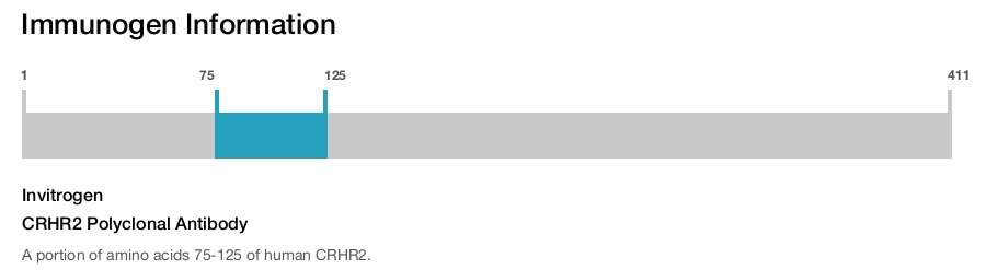 CRHR2 Polyclonal Antibody