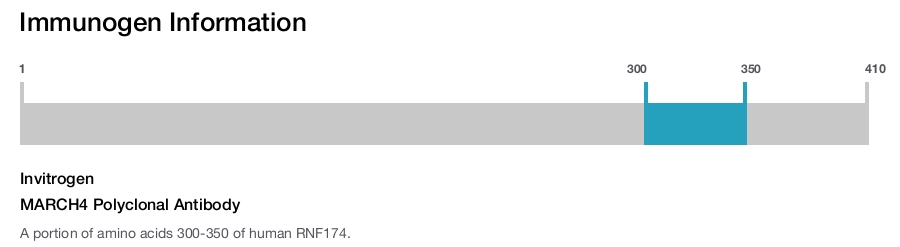 MARCH4 Polyclonal Antibody
