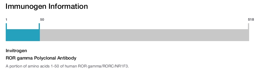 ROR gamma Polyclonal Antibody