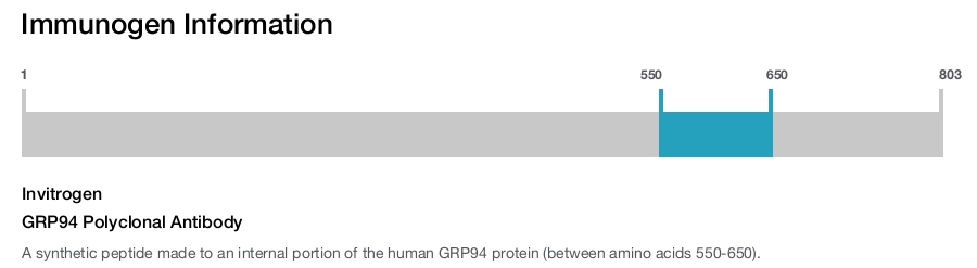 GRP94 Polyclonal Antibody