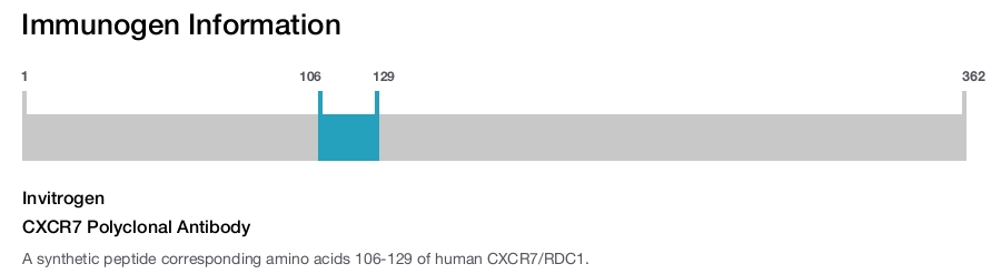 CXCR7 Polyclonal Antibody