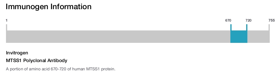 MTSS1 Polyclonal Antibody
