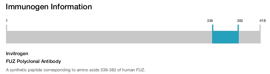 FUZ Polyclonal Antibody