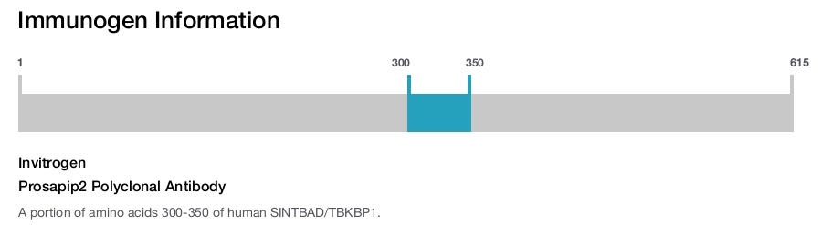 Prosapip2 Polyclonal Antibody