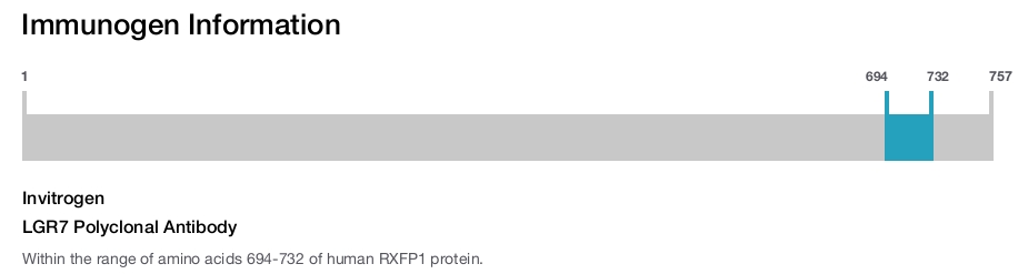 LGR7 Polyclonal Antibody