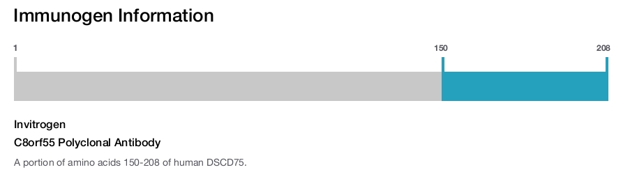 C8orf55 Polyclonal Antibody