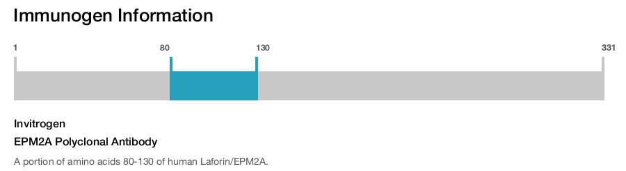 EPM2A Polyclonal Antibody